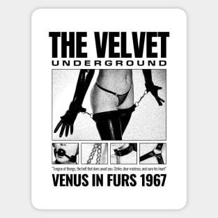 Velvet Underground - Venus Fanart Sticker